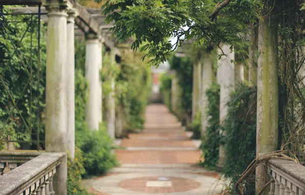 Nature, Park, plants, gallery, columns, architecture