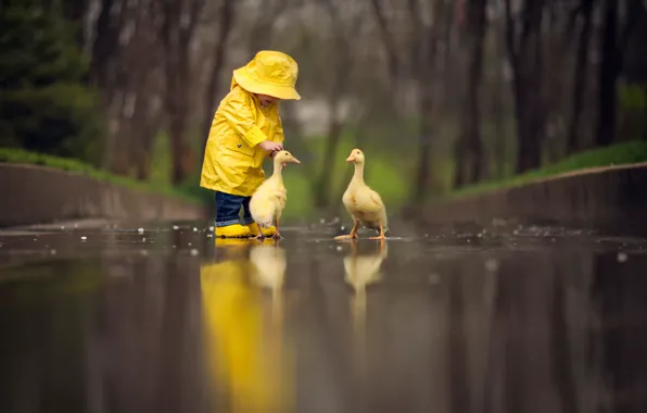 Birds, reflection, child, the goslings, yellow raincoat