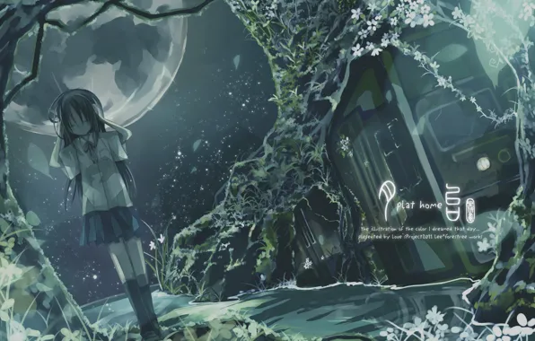 Picture girl, stars, trees, night, the moon