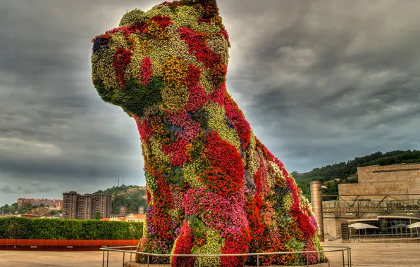 Flowers, the city, dog, puppy, sculpture
