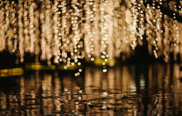 Water, macro, lights, background, rain, Wallpaper, people, blur