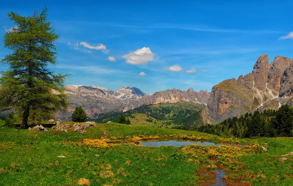 Mountains, stream, tree, Italy, Italy, pond, The Dolomites, South Tyrol