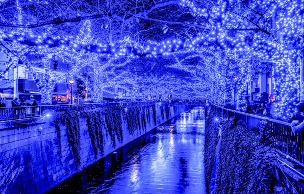 Lights, holiday, the evening, Japan, Tokyo