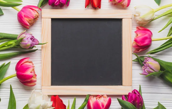 Flowers, Board, spring, colorful, tulips, wood, pink, flowers