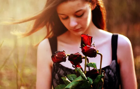Picture girl, flowers, mood, roses