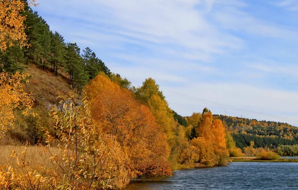 Picture autumn, grass, nature, river, photo