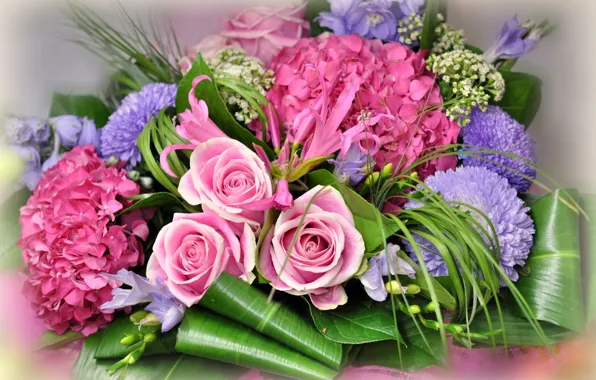 Bouquet, hydrangea, asters, gillyflower