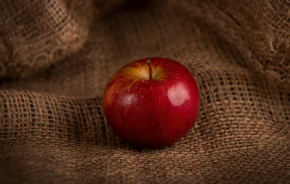 Red, Apple, food, fruit, still life, burlap, composition, one