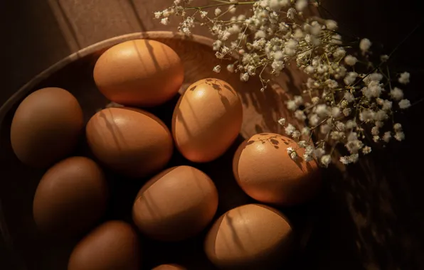 Light, flowers, eggs, chicken
