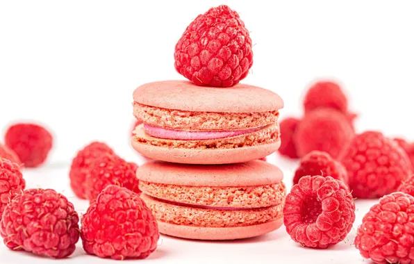Berries, raspberry, cookies, cakes, Macaron, macaron