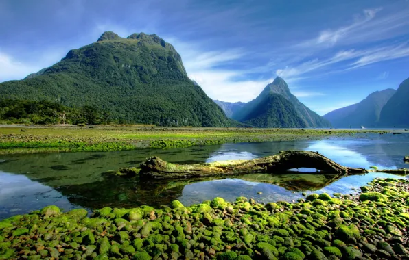 Picture forest, sky, trees, landscape, New Zealand, nature, water, mountains