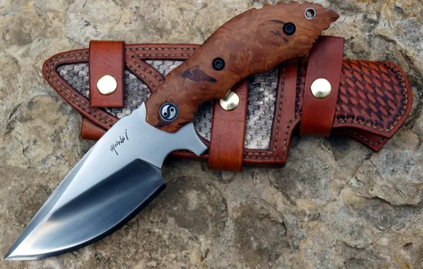 Picture knife, the handle, sheath