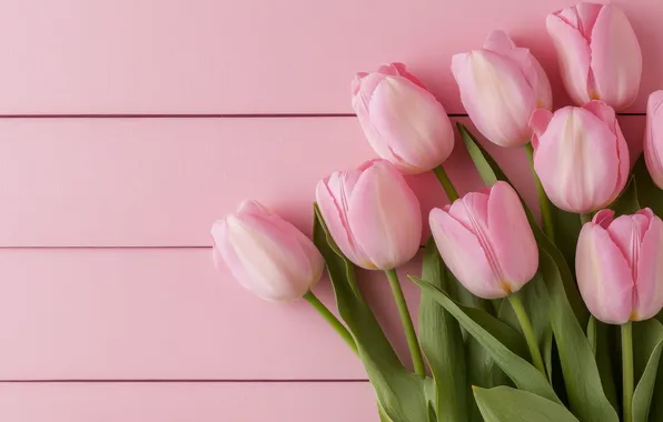 Flowers, holiday, heart, bouquet, spring, heart, hearts, tulips