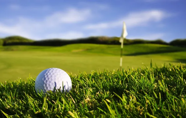 Picture the sky, grass, macro, sport, the game, flag, grass, golf, the Golf ball, nature macro