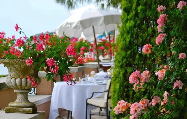 Flowers, Venice, restaurant, promenade