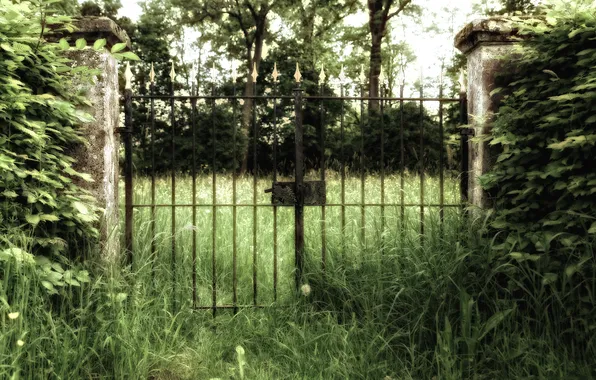 Picture grass, photo, creative, gate, mother nature