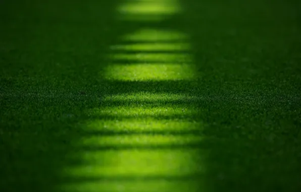 Field, grass, macro, lawn, stadium, Emirates, Stadium, Emirates