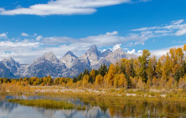 Picture autumn, the sky, clouds, trees, mountains, river, Wyoming, USA