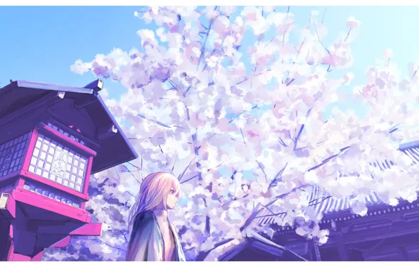 Girl, spring, Sakura, temple