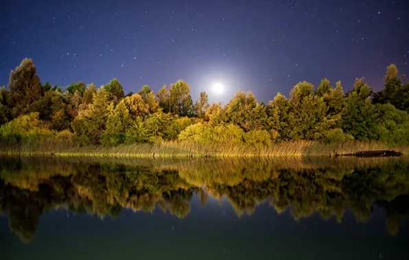 Stars, reflection, mirror, moonlight, trees lake