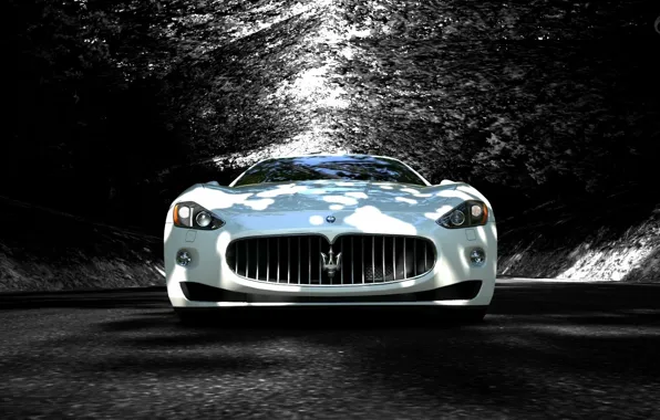 Road, trees, shadow, supercar, maserati