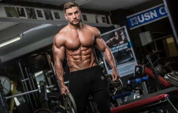 Pose, figure, muscle, muscle, muscles, press, athlete, Bodybuilding