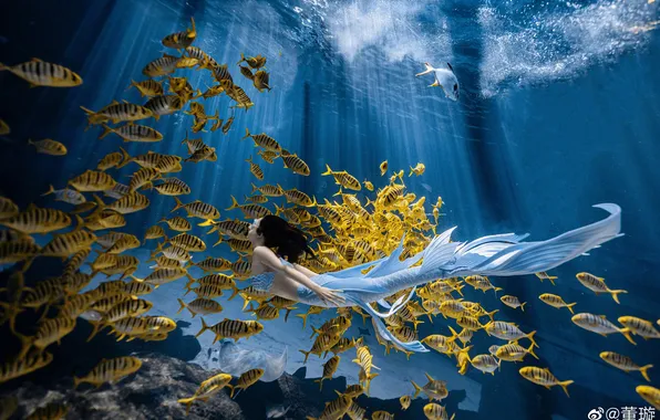 Girl, fish, mermaid, under water