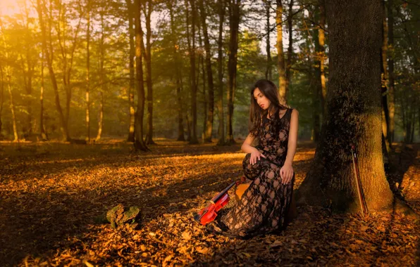 Autumn, forest, girl, violin, violinist