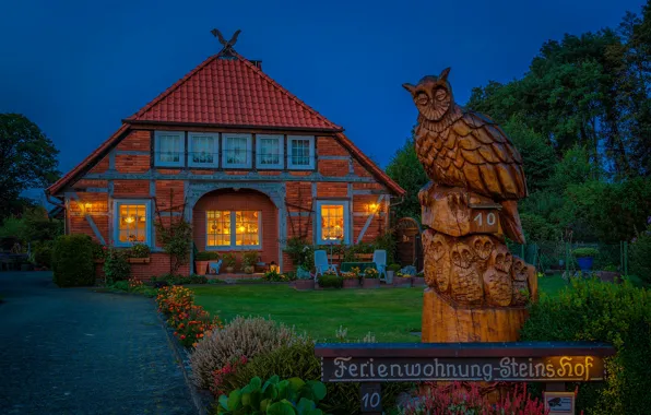 Picture flowers, house, lawn, owl, the building, Germany, Germany, Lower Saxony