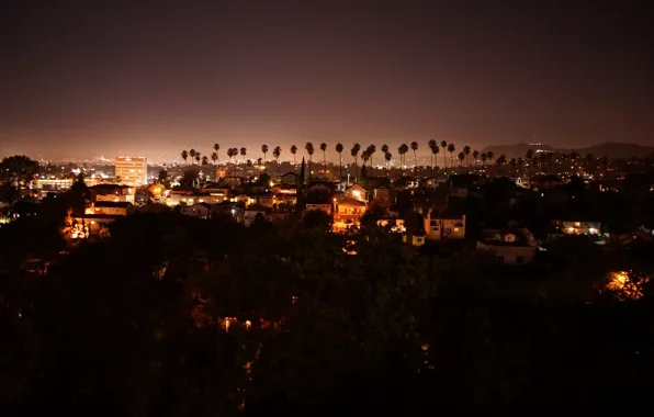 Stars, the city, palm trees, home, lights, beautiful, night city, vanity