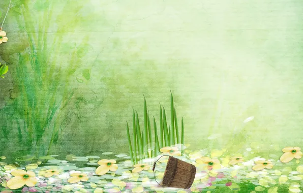 Grass, water, flowers, bucket, water lilies