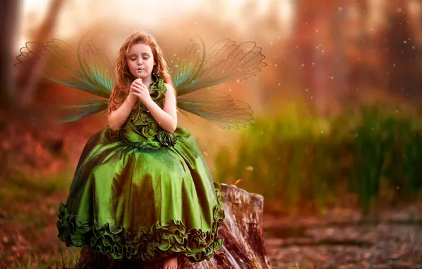 Picture dandelion, wings, dress, girl