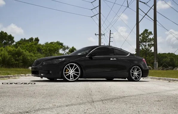 Picture trees, Honda, Accord, Coupe, Wheels, Concave, CW-S5