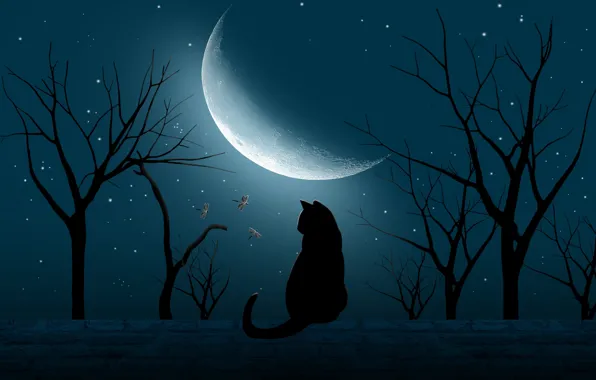 Roof, cat, the sky, cat, stars, light, trees, night