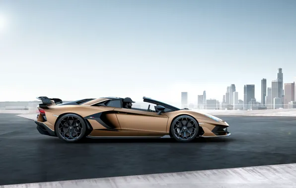 Picture Roadster, speed, skyscrapers, Lamborghini, trip, Aventador, SVJ, Lamborghini Aventador SVJ Roadster