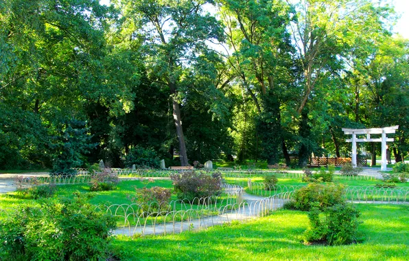 Park, garden, plants, alley