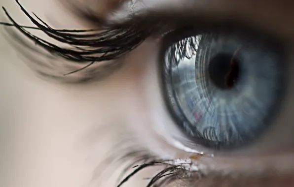 Woman, eye, lash