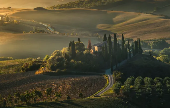 Picture road, trees, landscape, nature, house, hills, field, Italy