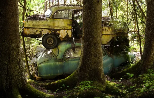 Picture forest, machine, scrap