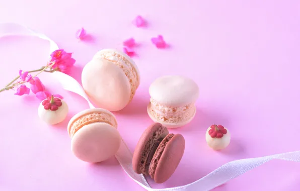 Flowers, the sweetness, tape, cake, cakes, macaroon