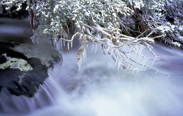 Picture ice, winter, branches, river, stream, Australia, Kosciuszko national Park