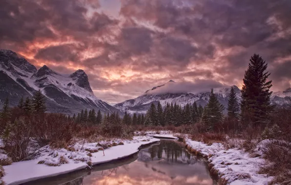 Winter, the sky, clouds, snow, trees, mountains, river, the evening