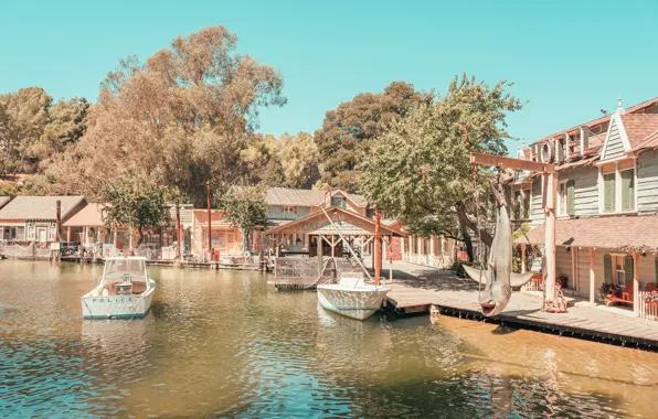 People, Marina, shark, pond, ONCE UPON A TIME IN CALIFORNIA