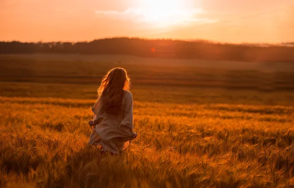 Picture field, girl, sunset, back, the evening, Tatiana GUZ