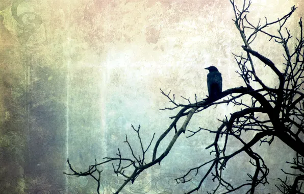 Style, background, tree, bird