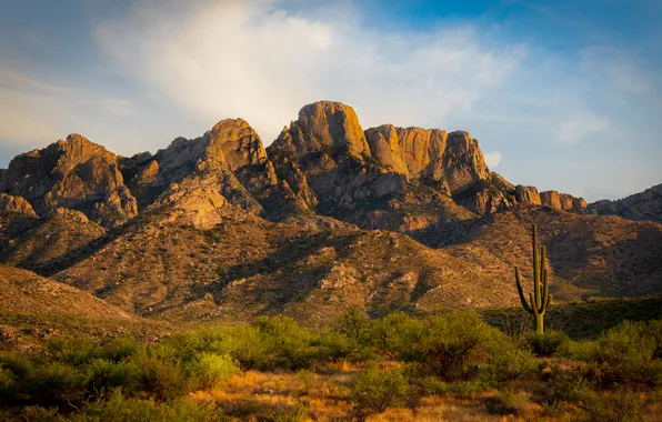 The sky, light, mountains, rocks, tops, cacti, shrubs
