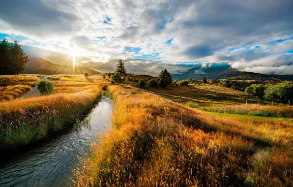 Picture field, autumn, landscape, nature