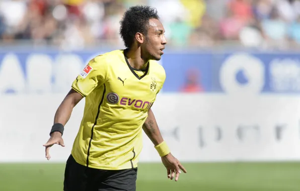 Picture football, sport, football, Sport, BVB, Dortmund, Borussia, Borussia