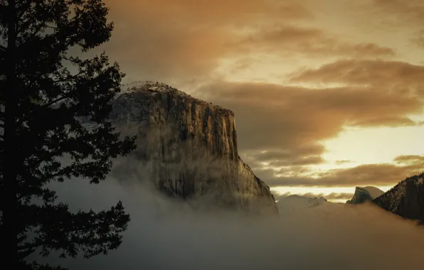 Fog, morning, USA, Yosemite, national Park, rock El Capitan
