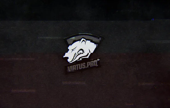 Gamer, team, cs:go, virtus.pro, pro, pro team, pro gamer